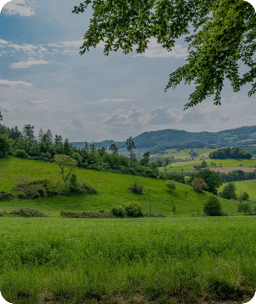 Nature & Eco-Tourism